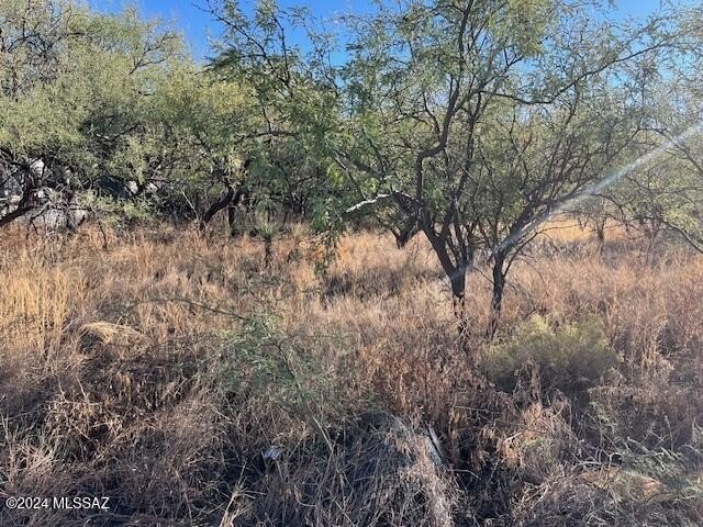 Photo of Mobile Home Lot