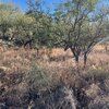 Photo of Mobile Home Lot