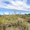 Mobile Home for Sale: 1986 Mobile Home