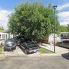 Mobile Home for Sale: 3 Bed 1 Bath 1996 Mobile Home