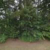 Mobile Home for Sale: 3 Bed 2 Bath 1987 Mobile Home