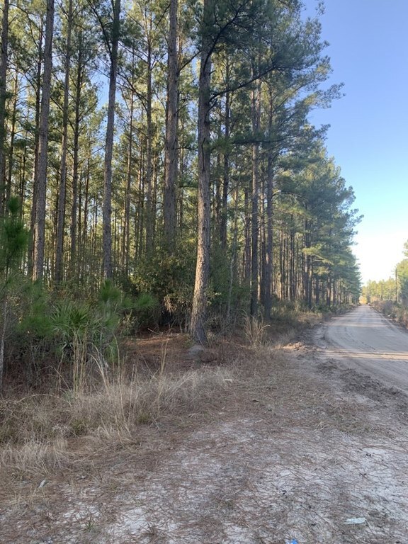 Photo of Mobile Home Lot