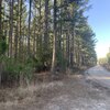 Photo of Mobile Home Lot