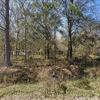 Mobile Home for Rent: 3 Bed 2 Bath 2003 Mobile Home