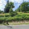 Mobile Home for Sale: 2 Bed 2 Bath 1993 Mobile Home
