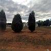 Mobile Home for Sale: 3 Bed 2 Bath 1995 Mobile Home