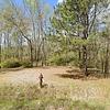 Mobile Home for Sale: 1987 Mobile Home