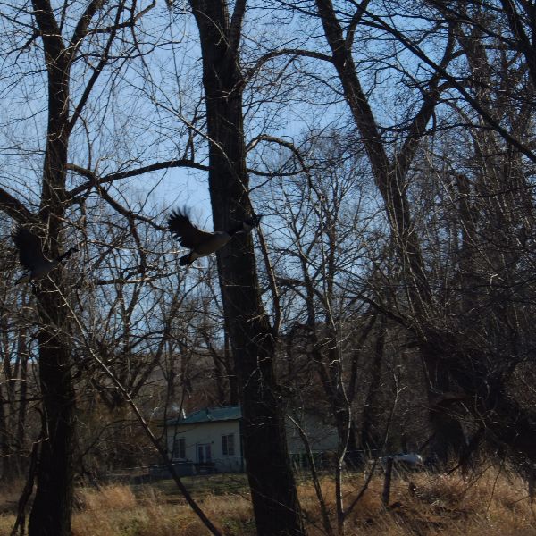 Photo of RV Park/Campground