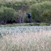 Mobile Home for Sale: Manufactured On Land - Woodsboro, TX, Woodsboro, TX