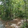 Mobile Home for Sale: 3 Bed 2 Bath 1985 Mobile Home