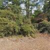 Mobile Home for Sale: 4 Bed 2 Bath 2001 Mobile Home