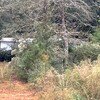 Mobile Home for Sale: 3 Bed 2 Bath Mobile Home