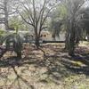 Mobile Home for Sale: 3 Bed 1 Bath 1995 Mobile Home