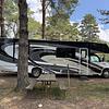 RV for Sale: 2017 LEPRECHAUN 311FS