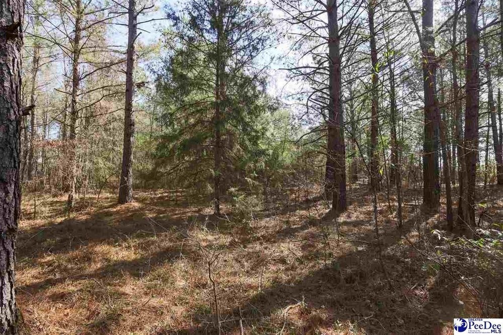 Photo of Mobile Home Lot