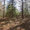 Photo of Mobile Home Lot