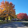RV Park for Sale: Confidential Southern Maine Campground For Sale, , ME