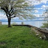 Mobile Home for Sale: 2 Bed 2 Bath 1962 Mobile Home