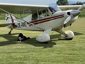 Thumbnail of aircraft