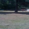 Mobile Home Lot for Sale: 0.14 acre Lot