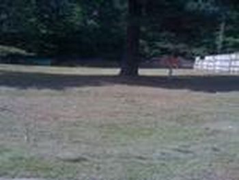 Photo of Mobile Home Lot