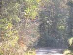 Photo of Mobile Home Lot