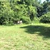 Photo of Mobile Home Lot