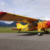 Aircraft for Sale: 1991 Maule MX-7-235