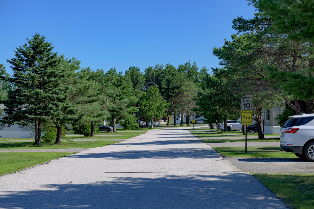 Community Image