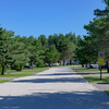 Community Image