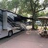 RV for Sale: 2021 ALLEGRO RED 37 BA
