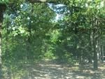 Photo of Mobile Home Lot
