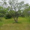 Mobile Home for Sale: 3 Bed 2 Bath 2022 Mobile Home