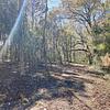 Mobile Home Lot for Sale: 1.85 acre Lot
