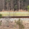 Photo of Mobile Home Lot
