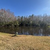 Cypress Lakes Village