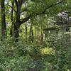 Mobile Home Lot for Sale: INVESTOR SPECIAL! Mobile Home Lot in Growing Area!, Pendleton, SC