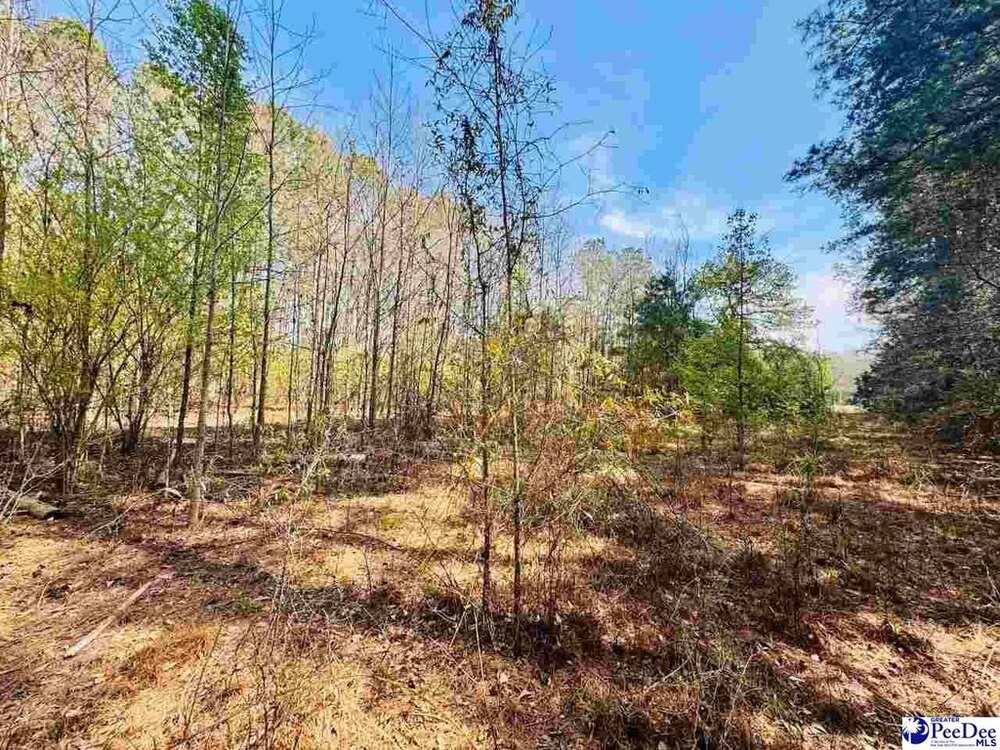 Photo of Mobile Home Lot