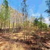 Mobile Home Lot for Sale: Lot-Mobile Home,Res. Single Fam Lot - Bennettsville, SC, Bennettsville, SC