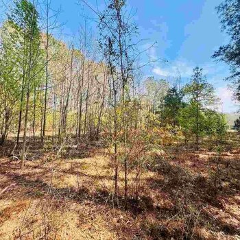 Photo of Mobile Home Lot