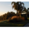 Photo of RV Lot
