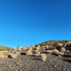 Photo of Mobile Home Lot