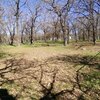 Mobile Home for Sale: Manufactured Home - Springtown, TX, Springtown, TX