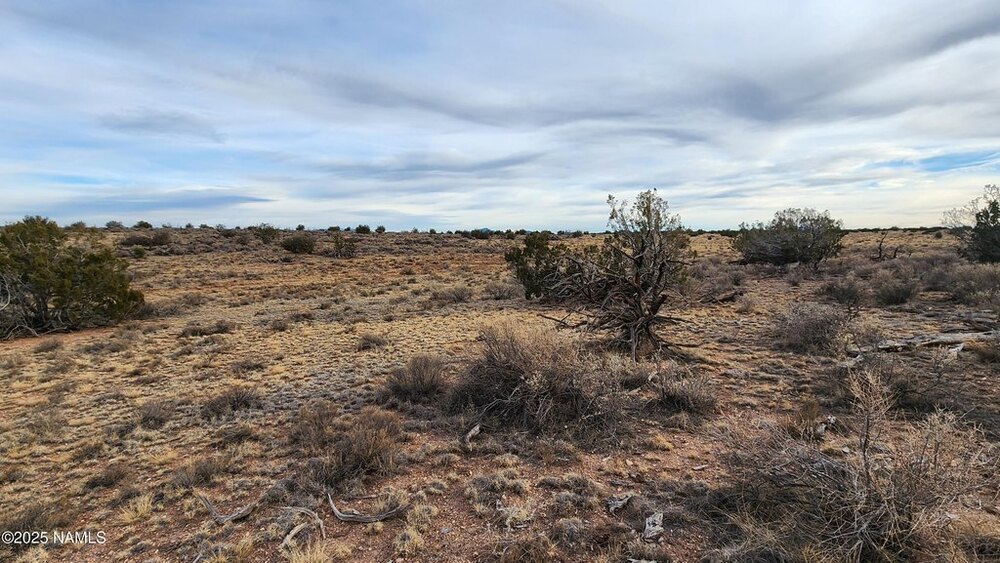 Photo of Mobile Home Lot