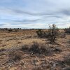 Photo of Mobile Home Lot