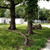 Photo of Mobile Home Park
