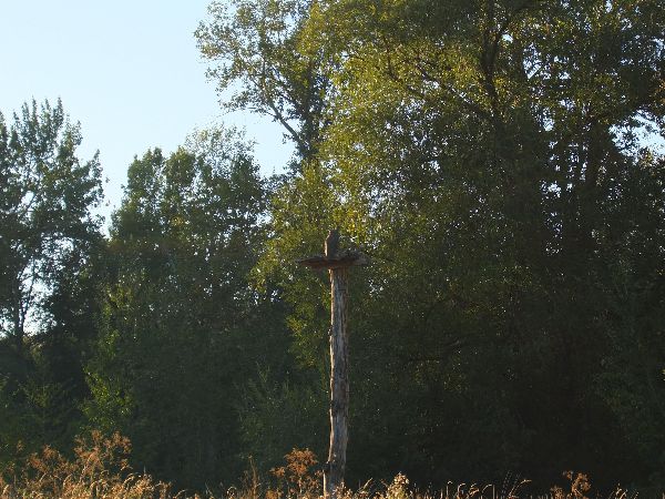 Photo of RV Park/Campground