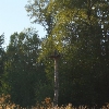 Photo of RV Park/Campground