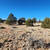 Photo of Mobile Home Lot