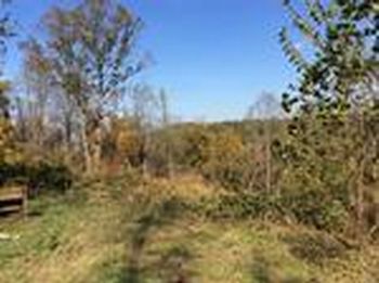 Photo of Mobile Home Lot